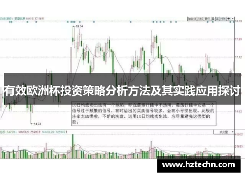 有效欧洲杯投资策略分析方法及其实践应用探讨